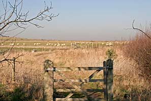 Cropwell country park