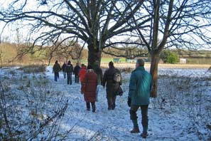 Boxing Day Walk 2009