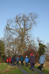 Boxing Day Walk 2009