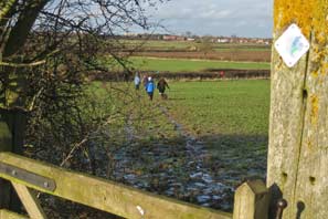 Boxing Day Walk 2009