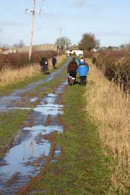 Boxing Day Walk 2009
