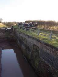 Boxing Day Walk 2012