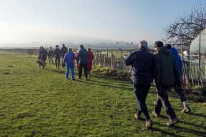 Boxing Day Walk 2013