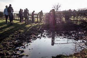 Boxing Day Walk 2013