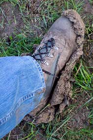 Boxing Day Walk 2013