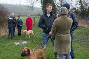 Boxing Day Walk 2013