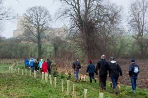 Boxing Day Walk 2013