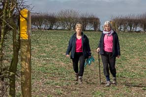 Cropwell Wolds Walk