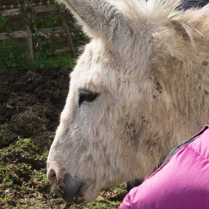 Cropwell Butler Walk