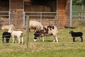 Cropwell Butler Walk