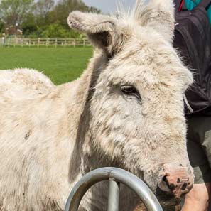 Cropwell Butler Walk
