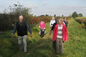 Meadow Lane near Tythby