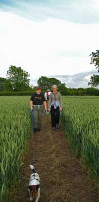 Walking across field