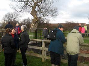 Walking Club 21-11-10