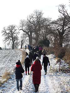 Boxing Day Walk 26-12-10