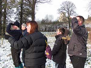 Boxing Day Walk 26-12-10