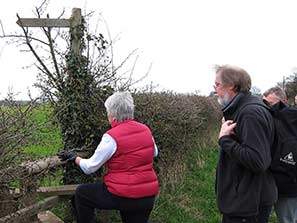 Walk 27-3-11 26-12-10