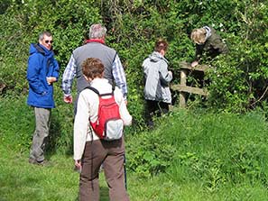 Walk 27-3-11 26-12-10