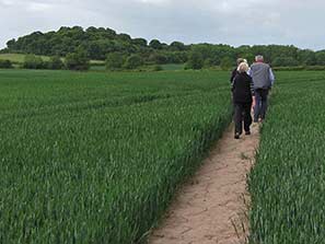 Walk 27-3-11 26-12-10