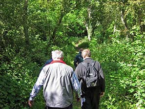 Walk 27-3-11 26-12-10