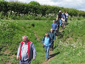 Walk 27-3-11 26-12-10