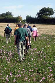 leaving the flowers behind