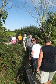 nearly over the stream