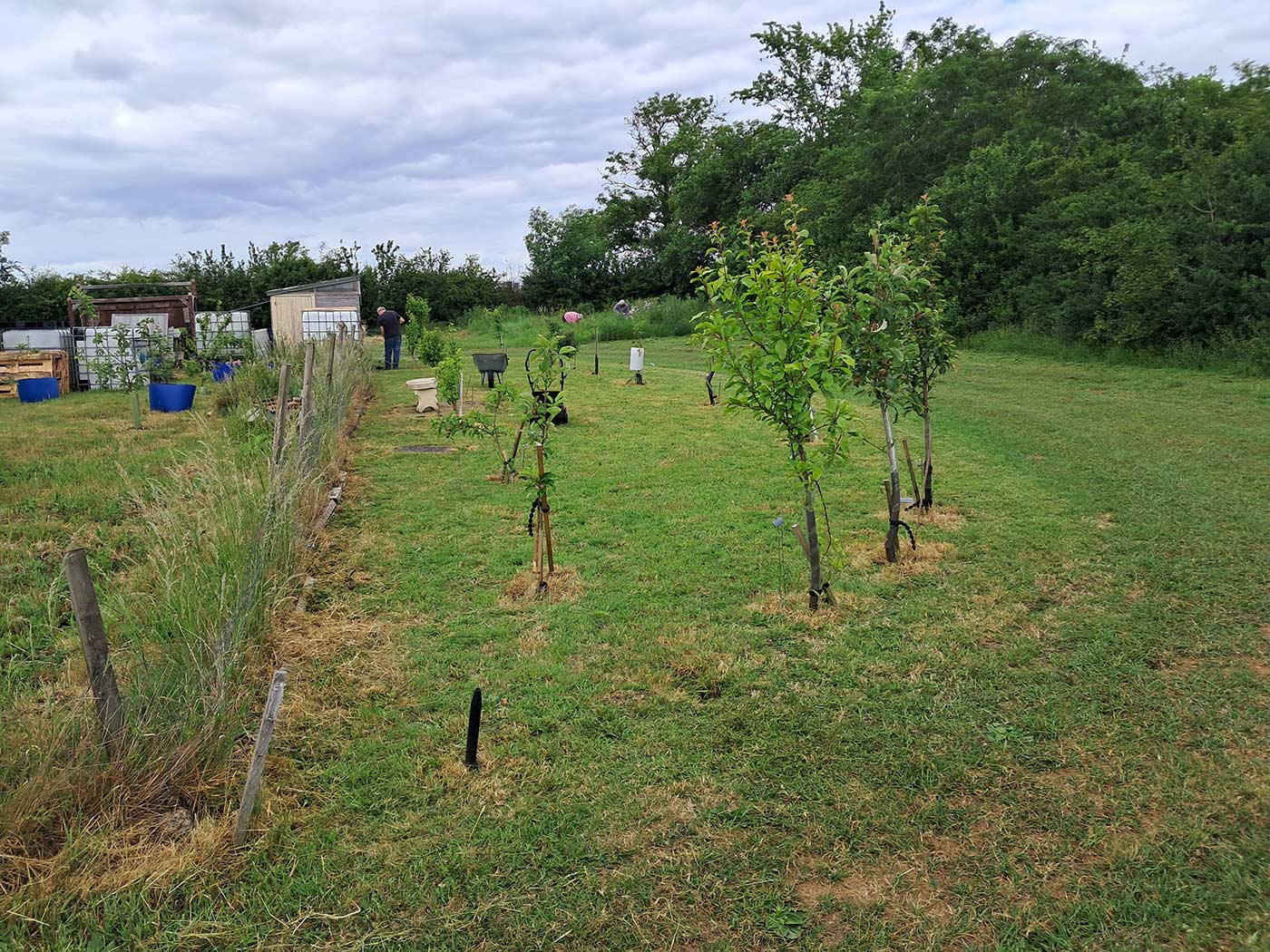 Volunteer Day