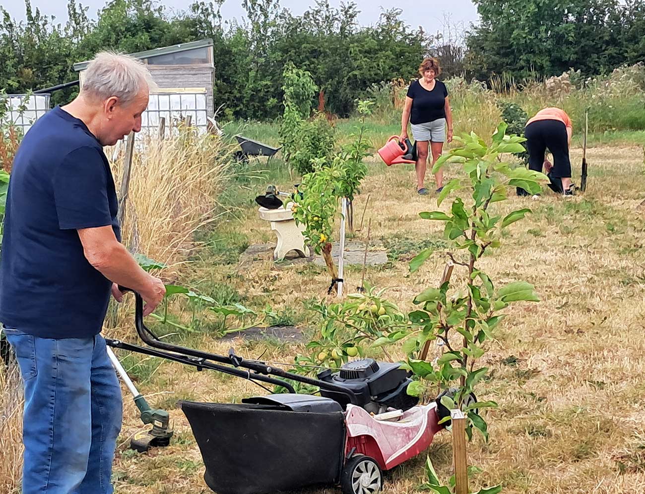 Volunteer Afternoon