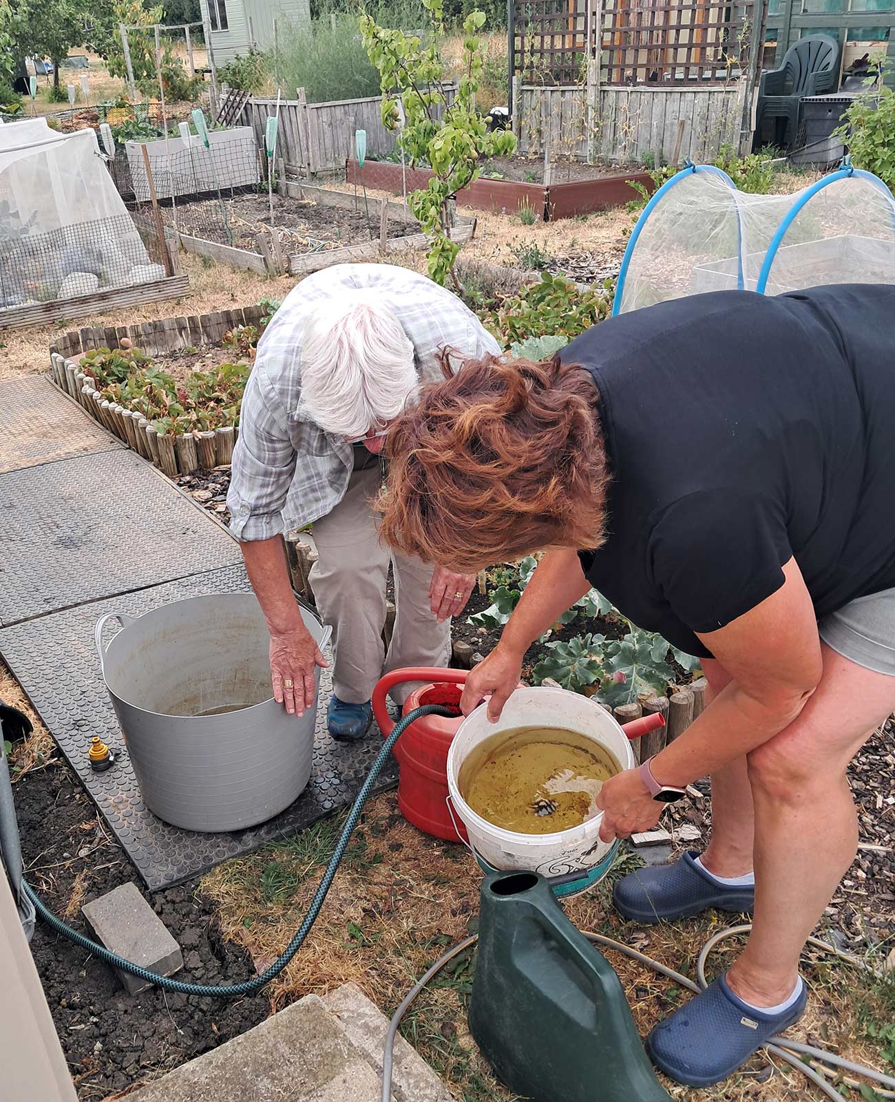 Volunteer Afternoon
