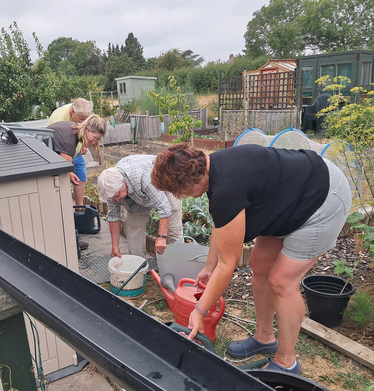 Volunteer Afternoon