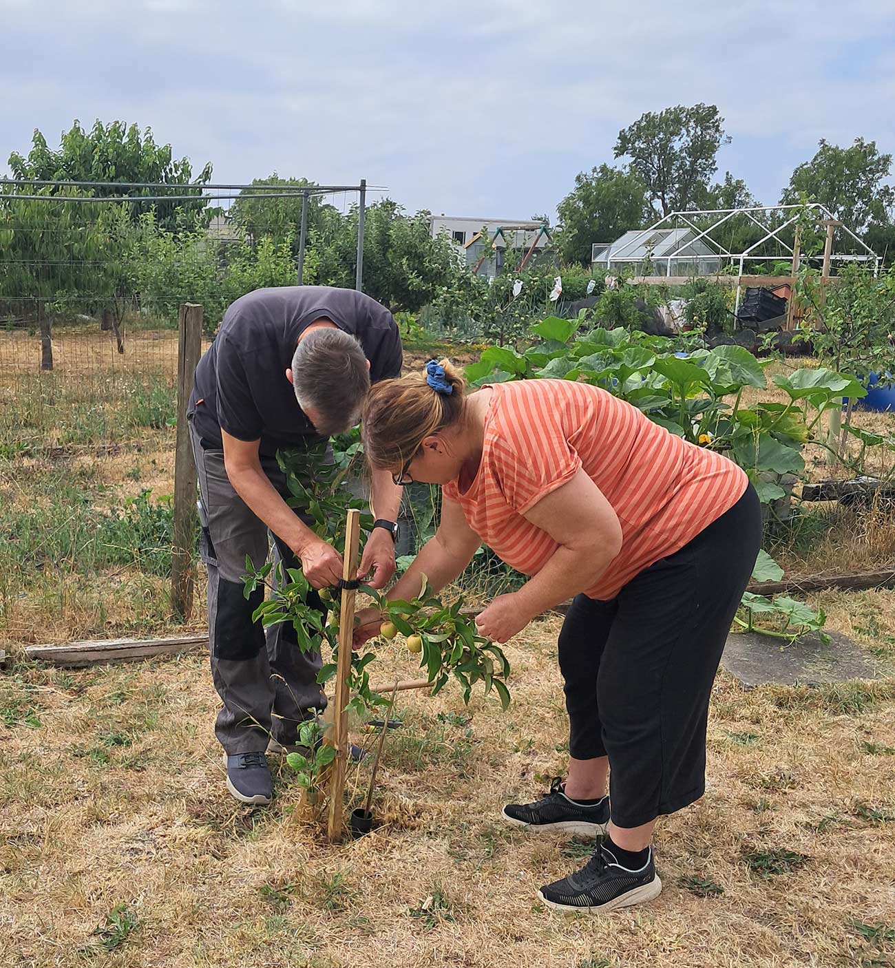 Volunteer Afternoon