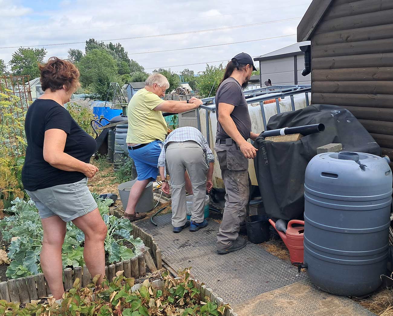 Volunteer Afternoon