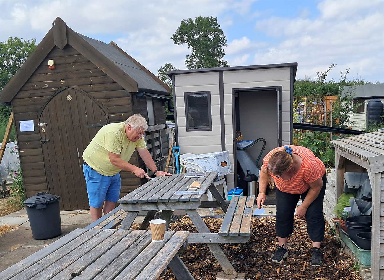 Volunteer Afternoon