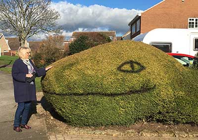 Monster Hedge