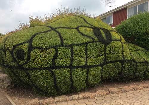 Monster Hedge