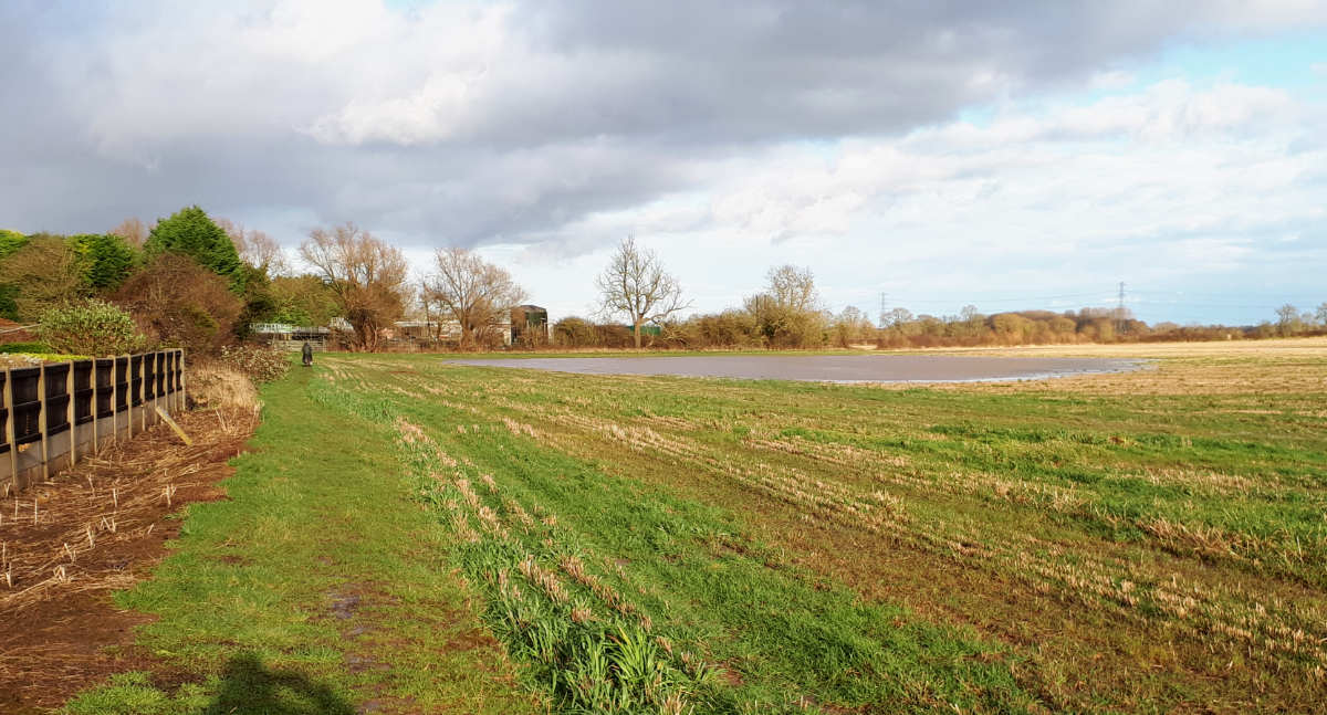 Flooded field on Church Street