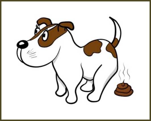 Dog Poo