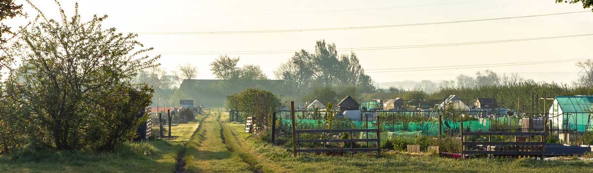 Allotment