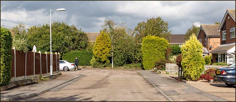 Bottom of Hall Drive in 2020