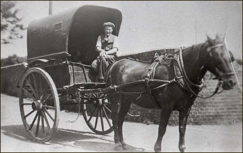 Tom Simpson (Herbert's son) on Bread Cart (1930s)