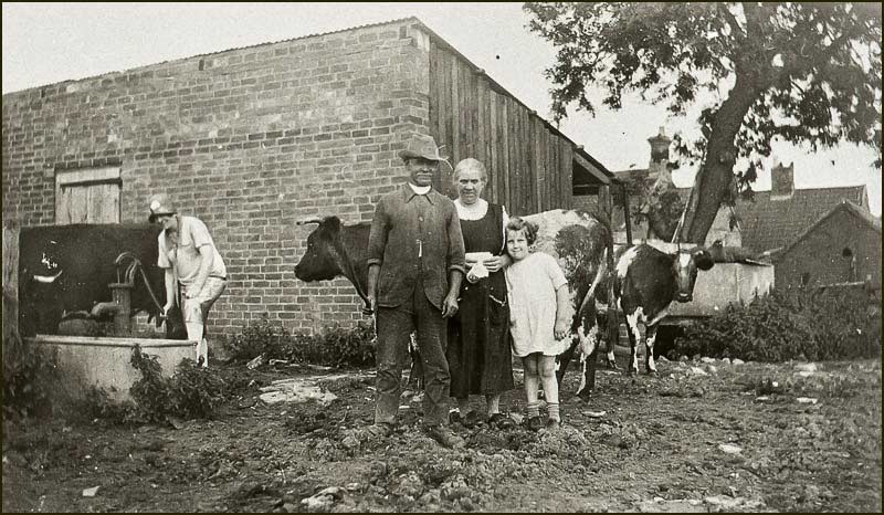 Squires Farm stackyard farmed by Knights