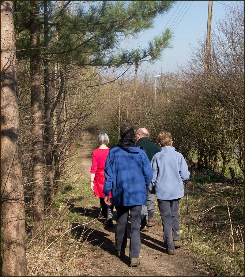 Walking Club use the path alongside Kinoulton Road in 2014