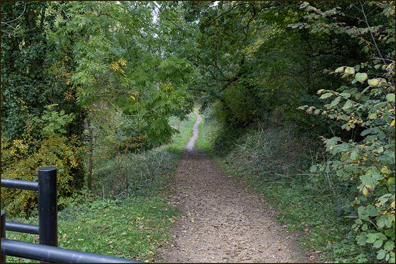 Canal towpath leading from Colston Bridge to Cropwell Bishop in 2020