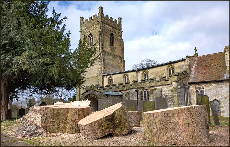St Giles tree felled