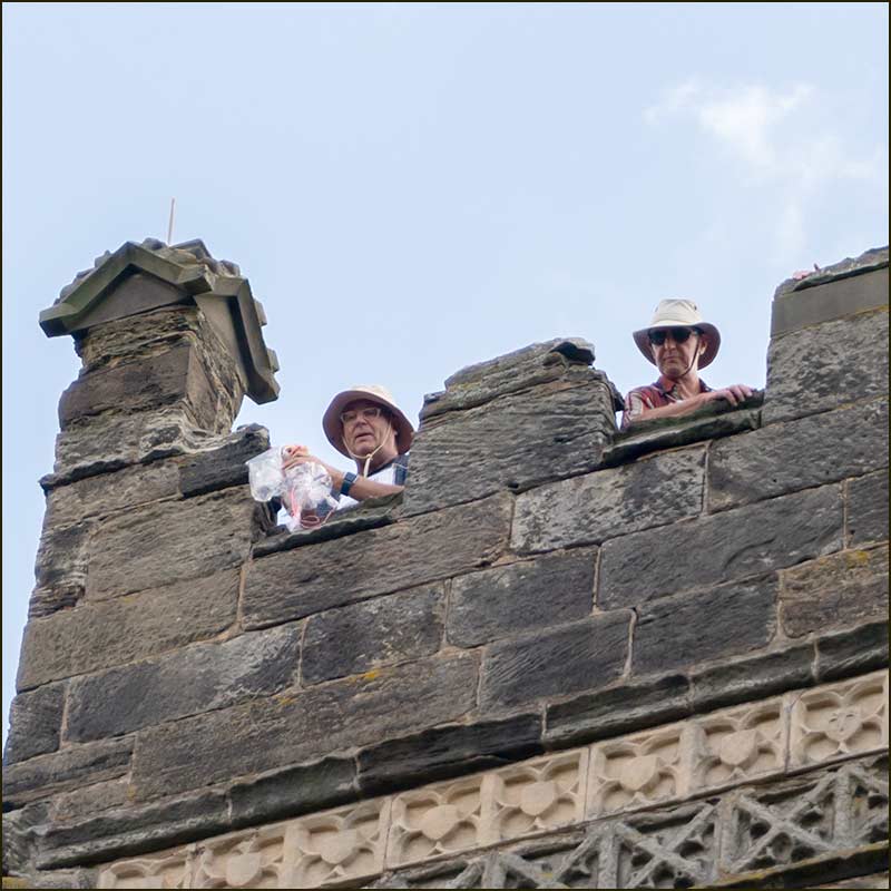 Teddybear Parachutes (2018)