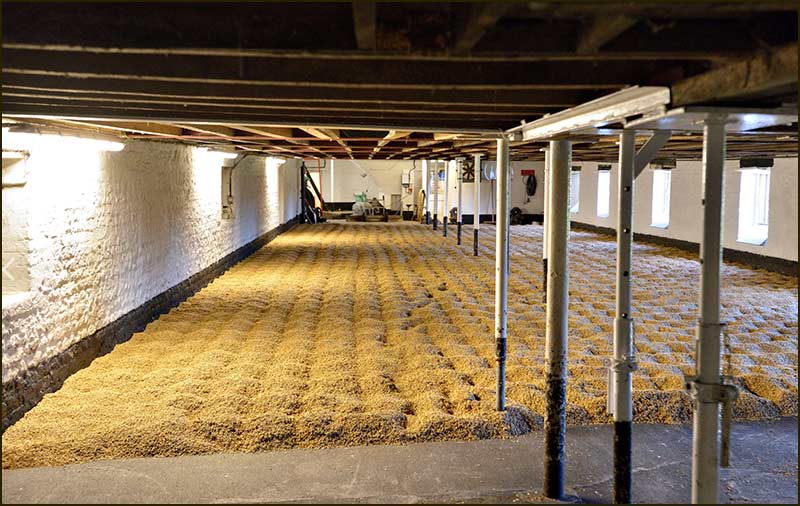 Traditional malting