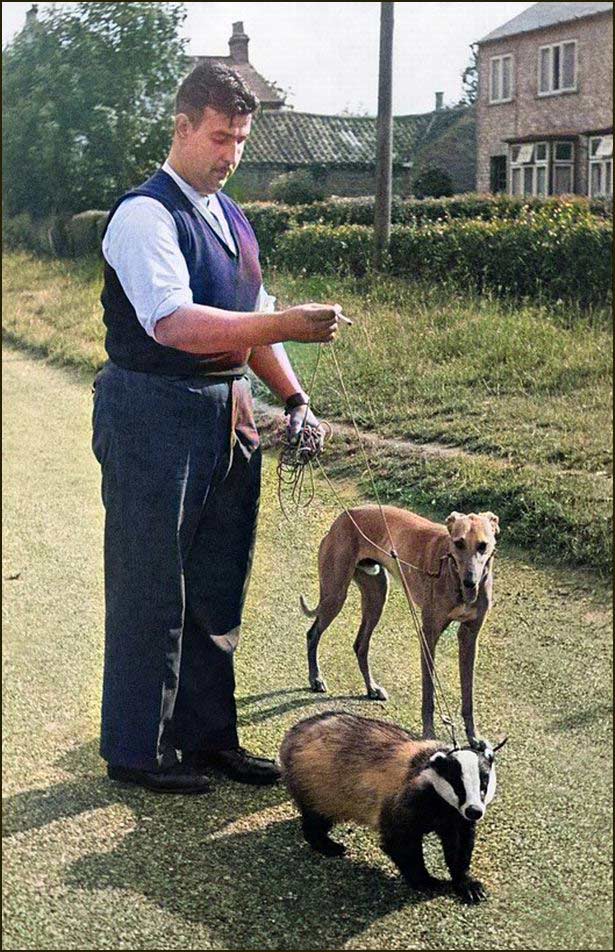 Harry Smith and Brock