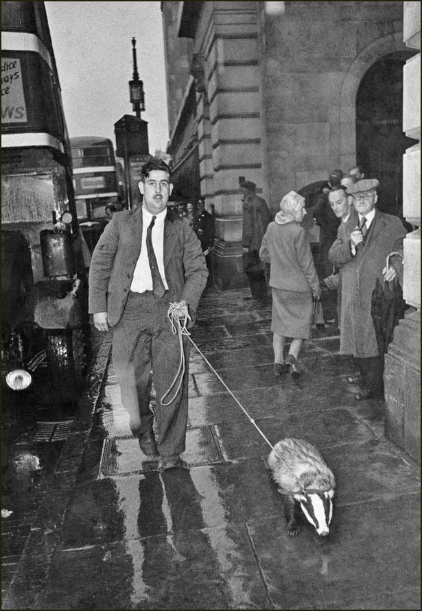 Harry Smith and Brock