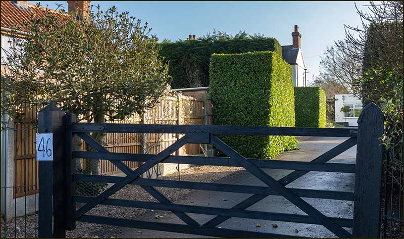 46 Fern Road in 2020